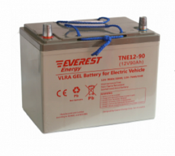 Гелевые аккумуляторы - Аккумулятор тяговый  EVEREST Energy TNE 12-90