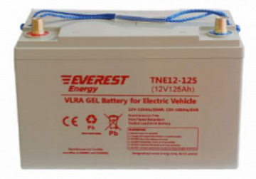 Гелевые аккумуляторы - Аккумулятор тяговый  EVEREST Energy TNE 12-125