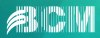 ВСМ